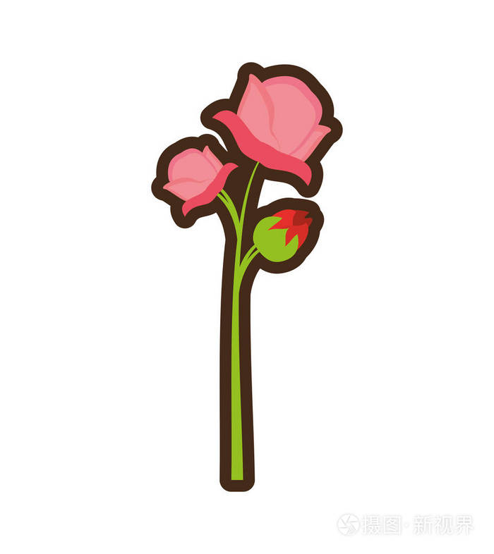 卡通粉色玫瑰花朵春天