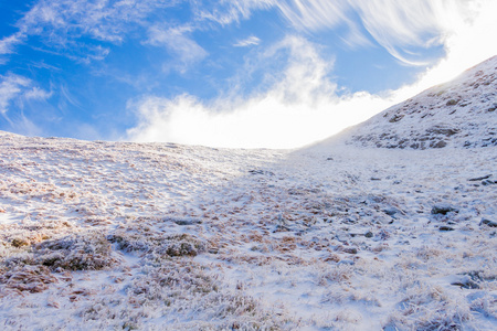 冰雪覆盖的山景