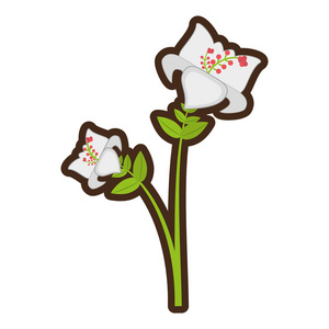 卡通黄花菜花分支装饰照片