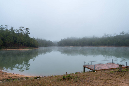 在一个大雾的早晨, 在水库上的反射松树森林