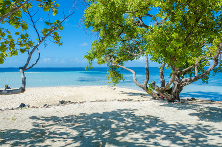 南水 Caye小热带海岛在障碍礁与天堂海滩, 加勒比海, 伯利兹, 中美洲