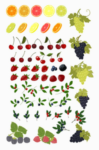 孤立的向量集的水果和浆果