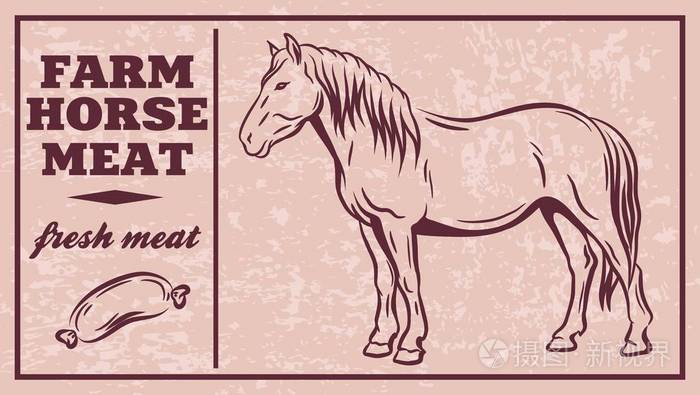 肉产品的标签马肉