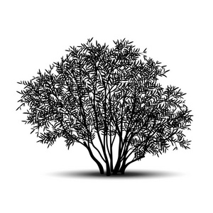 树叶轮廓图片-树叶轮廓素材-树叶轮廓插画-摄图新视界