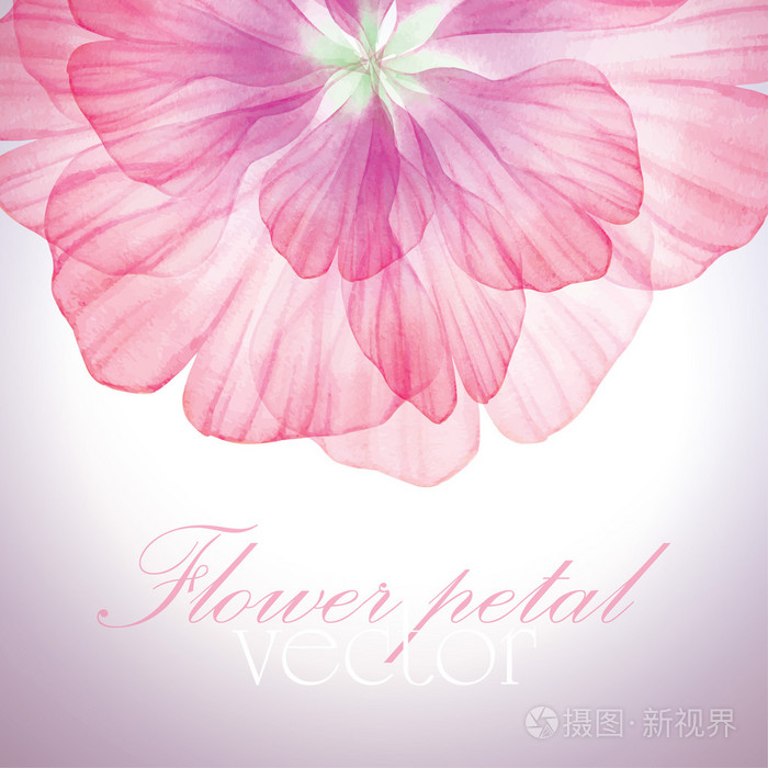 无缝模式与粉红色的花瓣插画-正版商用图片0o18gg-摄图新视界