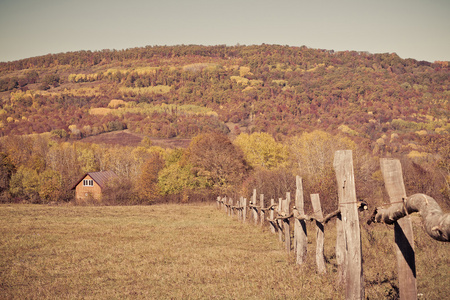 秋天的乡村风景在山