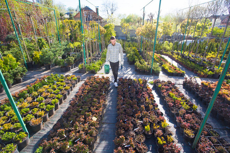 在城市花园工作的时髦园丁