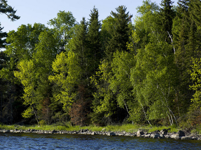 美丽的自然场面, 森林的湖, 安大略, 加拿大