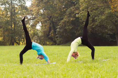 朋友们在公园里的瑜伽练习