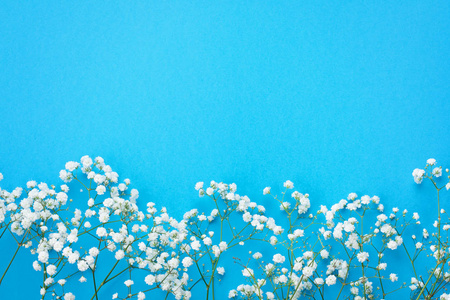 蓝色背景上的白色花朵。平躺在明亮的颜色