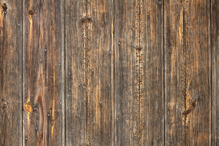 云杉木板旧篱笆