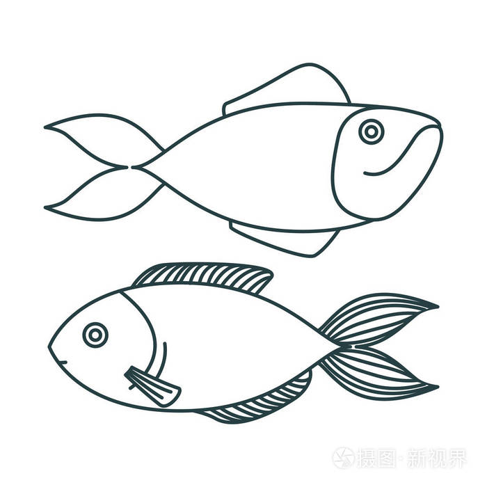 黑白剪影剪影对类型鱼插画