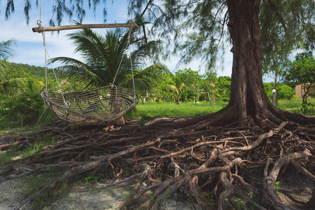 在热带海滩上挂在树上的竹子秋千。荣 Samloem 岛。柬埔寨亚洲