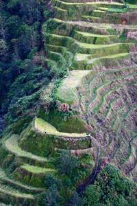 米梯田, 菲律宾