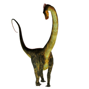 Barosaurus 恐龙白色