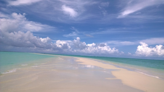 美丽的海滩和热带海