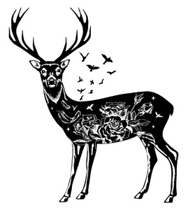 风格化的装饰鹿矢量墨手画插图