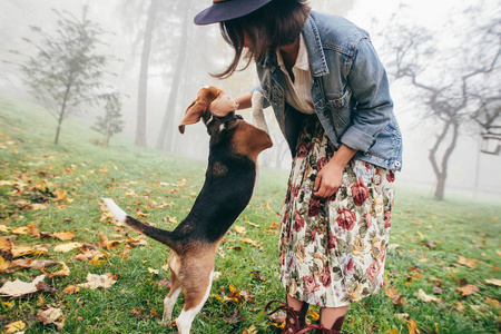 在公园里玩猎犬狗的女人