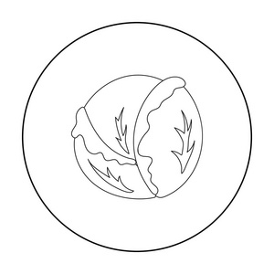 烤白菜图片-烤白菜素材-烤白菜插画-摄图新视界