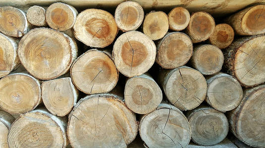 天然原木图片