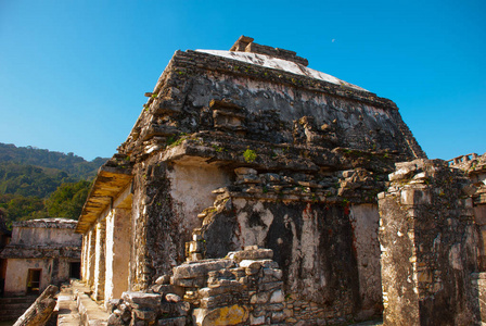 帕伦克古玛雅文明的遗迹, 在墨西哥南部的恰帕斯南部塞尔瓦保存完好。帕伦克, 恰帕斯, 墨西哥