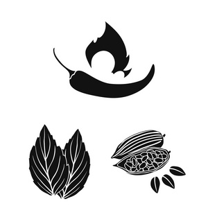 草药和香料黑色的图标集合中的设计。不同种类的调味料矢量符号库存 web 插图