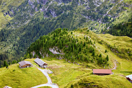 在蒂罗尔山区和森林景观。奥地利，Hintertux 地区