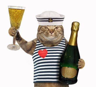 猫水手与玻璃酒