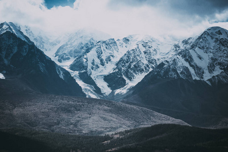 云下美丽的山脉。积雪的岩石峰。阿尔泰山谷之山观