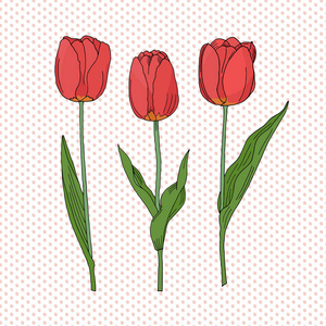 手绘的侧面视图红色郁金香花, 素描风格矢量插图孤立的点缀背景.