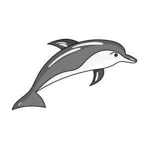 海豚的风格图片