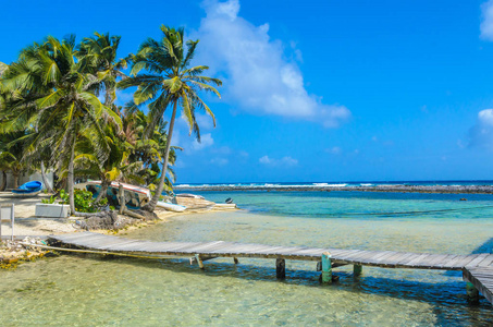 烟草 Caye位于加勒比海伯利兹中美洲的屏障礁上的小热带岛屿上的木制码头