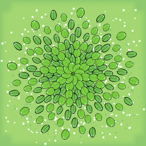 对称组成对称几何圆形图案组成的植物照片