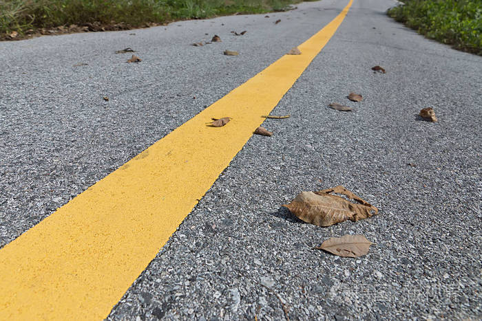 黄色的交通线路与地面上的干叶