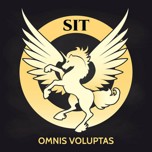 黑板上的香槟标志黑板上的金色独角兽标志设计照片