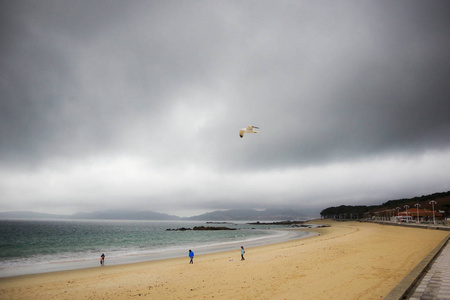 海鸥在风中 Samil 海滩, 维哥, 加利西亚, 西班牙