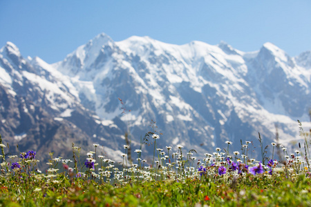 美丽的风景，与格鲁吉亚的高山