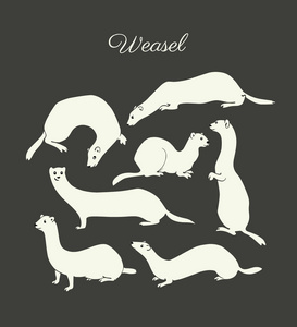 手画黄鼠狼照片