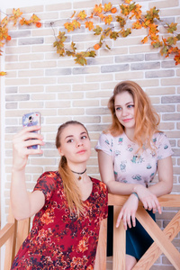 两个迷人的年轻女孩在电话自拍