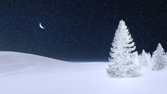 枞树在冬天晚上覆满白霜