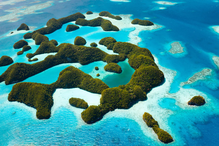 帕摩图群岛图片
