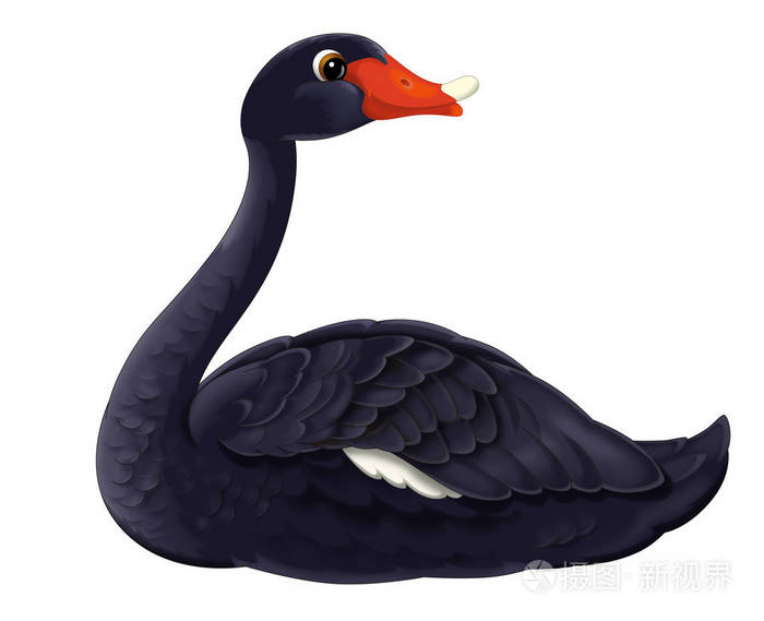 卡通快乐黑天鹅动物