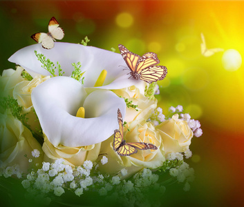 美丽的花朵和蝴蝶