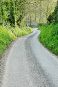 蜿蜒的道路引领穿过春天的公园