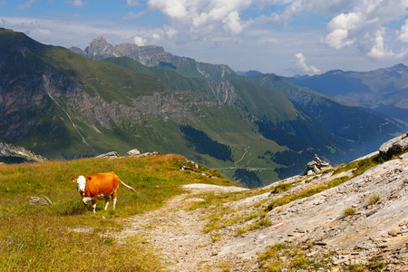 山和冰川风景在 Tirol。奥地利, Hintertux 地区