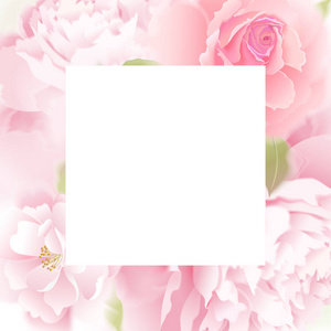 玫瑰和牡丹。花框。向量。花园花手画粉彩。逼真的花卉插图设计模板豪华包装, 包装。白色背景上的粉红色花朵和绿叶