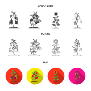 蘑菇, 草莓, 玉米, 黄瓜。植物集合图标在平面, 轮廓, 单色风格矢量符号股票插画网站