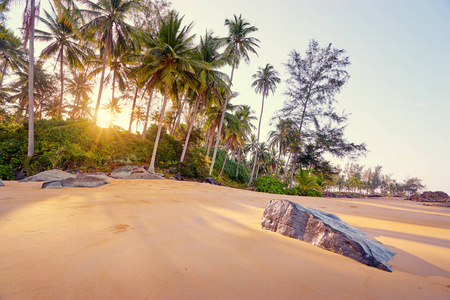 蓝色的大海捕鱼阳光灿烂的日子花杆卷筒唤醒美丽的年轻女子坐在沙滩上