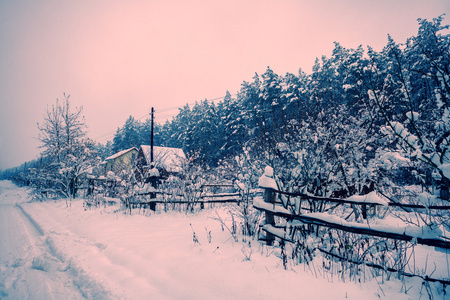 农村的冬天图片