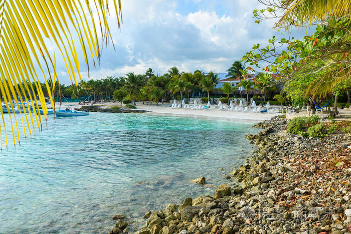 阿库玛尔-天堂湾在阿库玛尔与热带海滩在昆袋鼠, 墨西哥-海龟海滩在